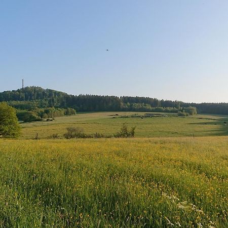 Ferienwohnung Am Hochkelberg Bereborn 외부 사진
