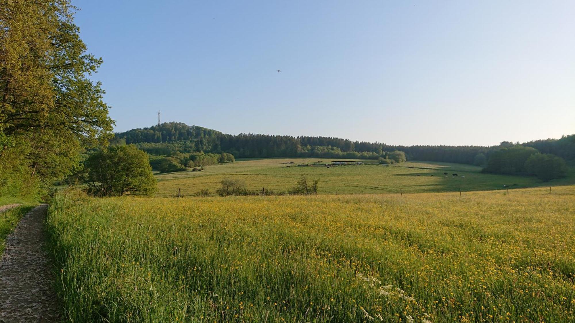 Ferienwohnung Am Hochkelberg Bereborn 외부 사진